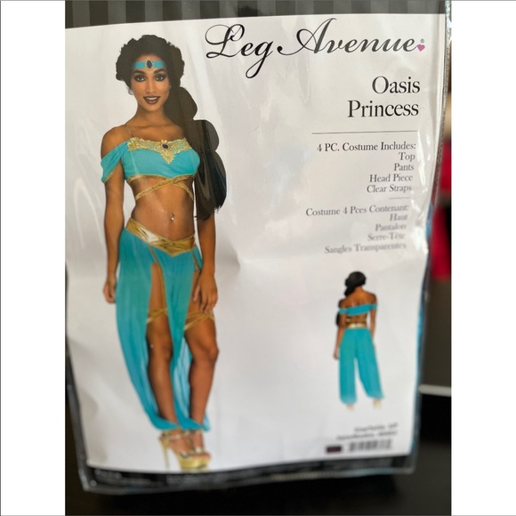 Princess Jasmine Halloween costume